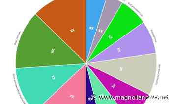 Simethicone Industry Market to Witness Huge Growth by 2030 | KCC Basildon, NuSil Technology LLC, RioCare India Pvt. Ltd. – Queen Anne and Mangolia News - Queen Anne and Mangolia News