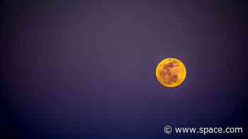 Super Flower Blood Moon lunar eclipse: Is it the 1st of 4 supermoons?