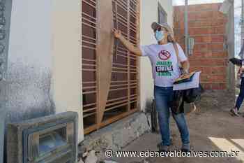 Juazeiro (BA): Mutirão de combate ao aedes aegypti acontece neste sábado (14) no bairro Santo Antônio - Blog Edenevaldo Alves