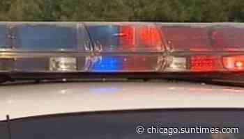 Police shoot dog in North Aurora after it attacks 6-year-old - Chicago Sun-Times