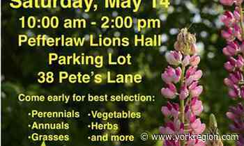 What's happening in Aurora, East Gwillimbury, Georgina, Newmarket and surrounding area (May 13 to 19) - yorkregion.com