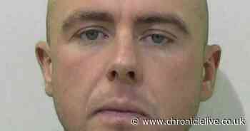 Wallsend landscape gardener who fleeced customers out of thousands freed to work in same trade - Chronicle Live