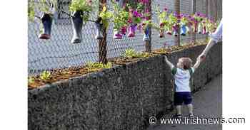 Casual Gardener: Get down with upcycling - The Irish News - The Irish News