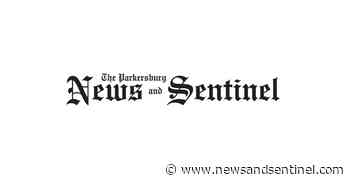 Backyard Gardener: Eggplant extravaganza for different kinds of gardens - Parkersburg News