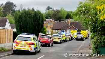 Elderly gardener, 79, killed in chainsaw accident at his home... - The Sun