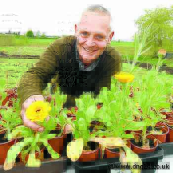 TV debut for gardener Graham - DNG Online Limited - DnG24