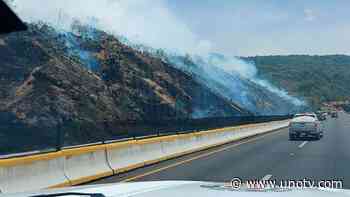 Reportan 70% de control en incendio en la México-Cuernavaca - Uno TV Noticias