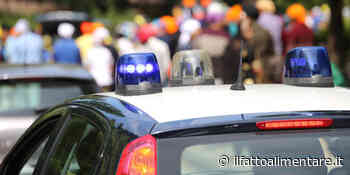 Nas all'opera nei negozi di Parma: falsi prodotti Dop, sporcizia, cibi scaduti, mancanza di tracciabilità - ilfattoalimentare.it