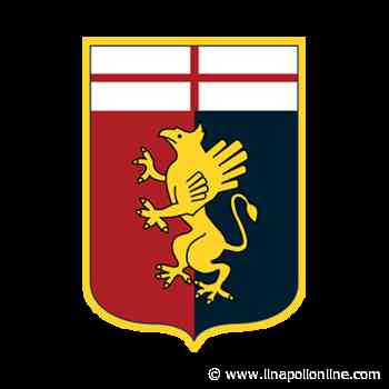 D'Amico: "Salvezza Genoa? Finché la matematica non condanna" - Il Napoli Online