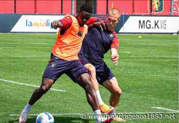 QUI PEGLI: prova d'orchestra per il Genoa con la tattica - PianetaGenoa1893 - Pianetagenoa1893.net