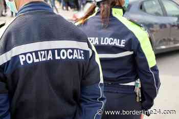 Bari, albero su strada in corso Alcide De Gasperi: disagi al traffico - Borderline24.com