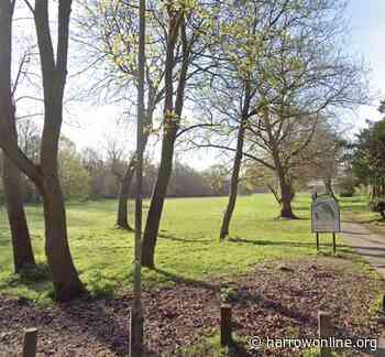 Police arrest wanted man ‘hiding in the woods’ in Harrow - Harrow Online