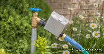 We Created a Smart Garden and Here's How You Can Too     - CNET