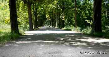 Heraanleg Kasteeldreef gaat van start, belevingscentrum wordt afgewerkt - Het Laatste Nieuws