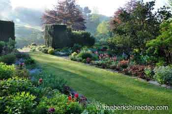 THE SELF-TAUGHT GARDENER: Green space - theberkshireedge.com