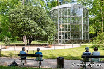 Dresden: Knirschender Saisonauftakt in Pillnitz: Wer im Glashaus sitzt, sollte keine Steine im Gleisbett haben - TAG24