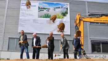 Wirtschaft in Parchim: Pharmazie-Unternehmen bmp production baut Produktionsstandort aus - svz – Schweriner Volkszeitung