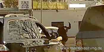 Nazi-Parolen aus Marl sind jetzt Fall für die Staatsanwaltschaft Essen - Marler Zeitung