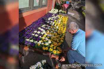 BC campaign aims to create world's largest Ukrainian flag of flowers – Chilliwack Progress - Chilliwack Progress