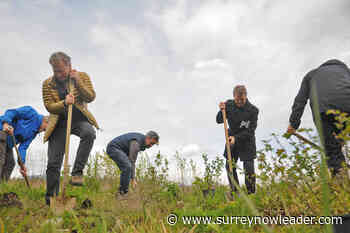 Chilliwack's Hooge wetlands score a victory for natural flood defence – Surrey Now-Leader - Surrey Now Leader