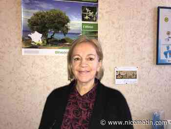 Alerte aux allergies aux pollens: 5 conseils pour ne pas vivre un calvaire