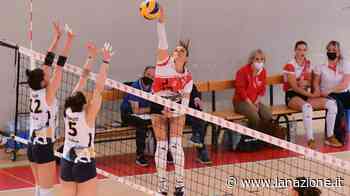 3M Perugia, notte verità "A Messina per vincere" - LA NAZIONE