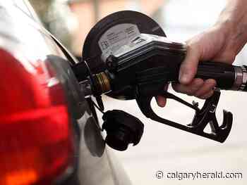 Alberta businesses struggle with rising cost of gasoline - Calgary Herald