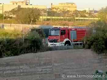 Alte temperature e ripartono i roghi, interventi del Vigili del fuoco in via Pertini e Lido - Termoli Online