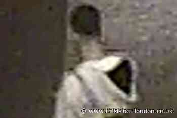 Burgess Park Southwark assault: Police hunt for man