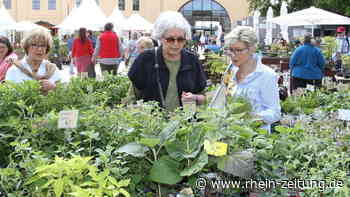 Vielfältiges Angebot überzeugt: Koblenzer Landpartie spricht alle Sinne der Besucher an - Rhein-Zeitung
