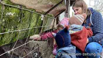 Bedarf an Tagesmüttern und -vätern ist groß: 354 Kinder warten in Koblenz auf einen Betreuungsplatz - Rhein-Zeitung
