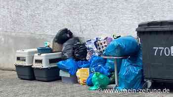 Schlimmer Fund in Rübenach: Hund verwest in verlassener Wohnung - Rhein-Zeitung