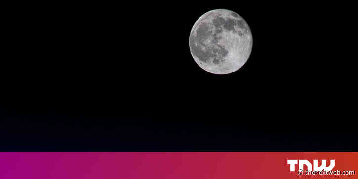 Study suggests you may be able to grow plants on the Moon