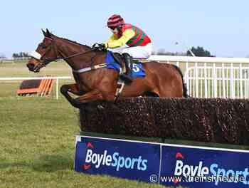 KILLARNEY SUNDAY PREVIEW: Max Flamingo can get back to winning ways - The Irish Field