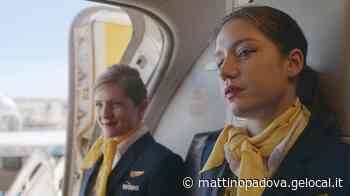 Cinema al 100 per cento, le recensioni dei film usciti giovedì 12 maggio - Il Mattino di Padova