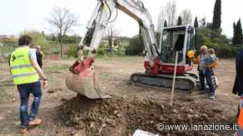 Arriva un nuovo parcheggio Cento posti auto in via Vico - LA NAZIONE