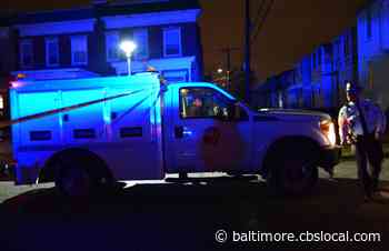 Dog Shot After Attacking Baltimore Officers, Police Say - CBS Baltimore