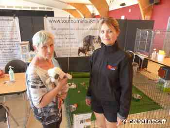 Salon du chiot à Epinal : 26 éleveurs professionnels réunis au centre des congrès d'Epinal - Epinal infos - Epinal Infos