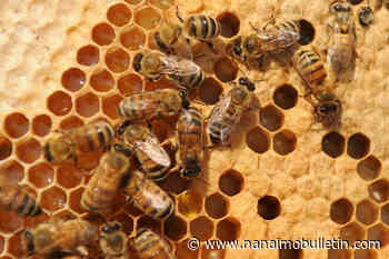 Unofficial holidays: Here’s what people are celebrating for the week of May 15 to 21