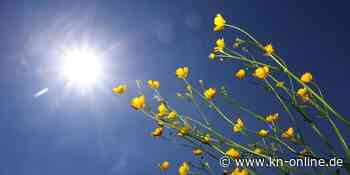 Am Sonntag ganz viel Sonne und Temperaturen bis 30 Grad - dann drohen Unwetter
