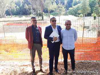 Alloggi in viale Bracci, dal Comune 700mila euro a Siena Casa per realizzare l’opera - Siena News