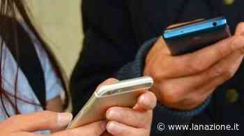 Baby bulle a Siena, caccia a foto e filmati delle botte - LA NAZIONE