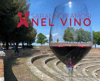 “Saranno Famosi nel Vino”, a Siena la prima passerella per cantine ed etichette emergenti - RadioSienaTv