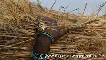 Indien verbietet Weizenexporte