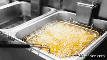 Dallas Airport Is Recycling Leftover Cooking Oil Into Sustainable Aviation Fuel - IFLScience