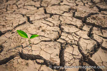 What Are Flash Droughts?