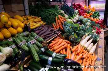 Handelsverband Nordbaden über den Handel in Heidelberg: „Nicht alles in die Kurfürsten-Anlage pumpen“ - Heidelberg - Nachrichten und Informationen - Mannheimer Morgen