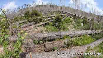 Agrar - Wernigerode - Minister: Brände schneller erkennen, auch per Hubschrauber - Wirtschaft - Süddeutsche Zeitung - SZ.de