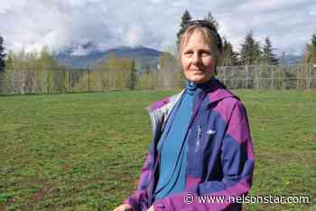 A tale of two parks: As field between Nelson and Castlegar languishes, plans for a nearby rec facility ques... - Nelson Star