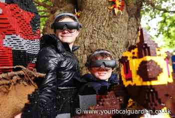 LEGOLAND Windsor and eSight give Bromley brothers 'life-changing experience'